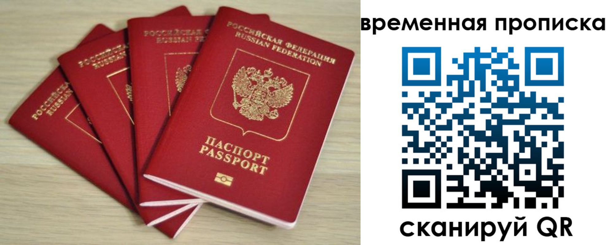 прописка для школы в Свободном